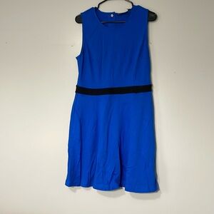 NWT Aline dress with pockets